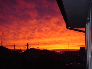 DSC02888.JPG