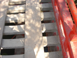 DSC02903.JPG