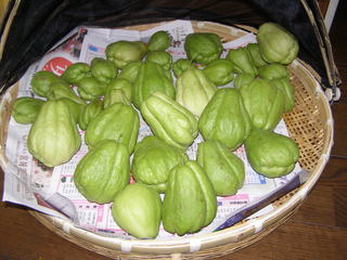 PB120013.JPG
